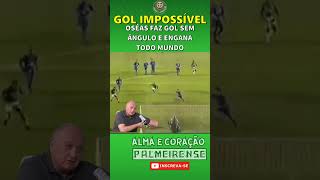 FELIPÃO FICOU PISTOLA NO GOL DO TÍTULO [upl. by Stoller]