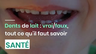 Dents de lait  vrai ou faux tout ce quil faut savoir [upl. by Girardo]