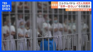 “世界一恐ろしい”エルサルバドルの4万人巨大刑務所を日本メディア初取材 「ギャング撲滅作戦」の壮絶さとは…｜TBS NEWS DIG [upl. by Llorre859]