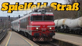 Bahnverkehr am Grenzbahnhof 🇦🇹SpielfeldStraß🇸🇮 SZ 363 SETG Vectron ÖBB 5022 und Lokschuppsen [upl. by Einnaej]