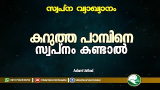 Swapna vyakyanam  കറുത്ത പാമ്പിനെ കണ്ടാൽ  Latest Islamic Speech  Muneer Aslami Usthad [upl. by Astor125]