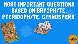 Questions based on Bryophyte Pteridophyte Gymnosperm Plant Kingdom  NEET 2025 [upl. by Dahij]