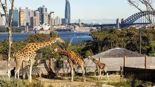 Taronga Zoo full tour [upl. by Mannos]