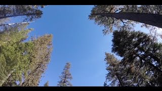 Best Camping Spot Tahoe National Forest Vlog38 [upl. by Gilbye]