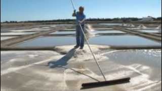 Noirmoutier  Les marais salants [upl. by Floris]