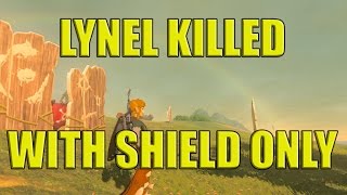 Red Lynel Shield Only NO DAMAGE [upl. by Ynaffit]