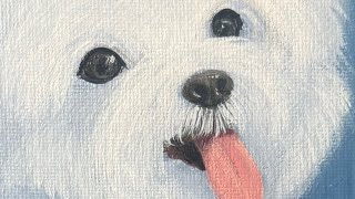 怎么画可爱的白色小狗How to draw a cute white puppy [upl. by Lehcin]