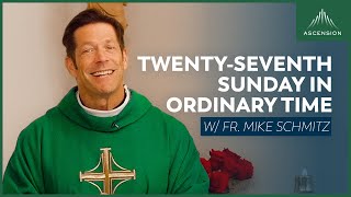 Twentyseventh Sunday in Ordinary Time  Mass with Fr Mike Schmitz [upl. by Airet804]