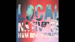 Local Natives  Mt Washington [upl. by Yuu]