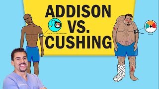 Addisons vs Cushings Disease for NCLEX RN [upl. by Nileek686]