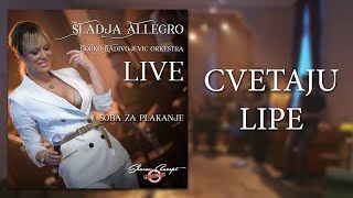 Sladja Allegro  Cvetaju lipe  Official Live Video 2017 [upl. by Riggins981]