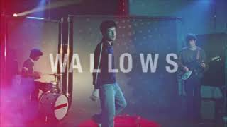 Wallows – Model Tour  Live Nation GSA [upl. by Witcher]