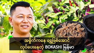 အမှိုက်ကနေ ရွှေဖြစ်အောင် လုပ်ပေးနေတဲ့ BOKASHI မြန်မာ [upl. by Annodal]