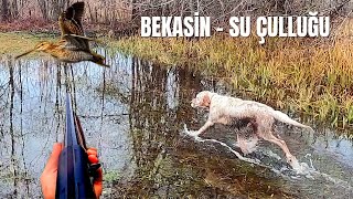 Su Çulluğu Avı  Leodan Güzel Fermalar  Bekasin  Snipe [upl. by Yekcor]