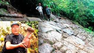 Ancient Giant City Discovered in the Jungles of the Amazon  History Mysteries  Artifacts [upl. by Elleyoj266]