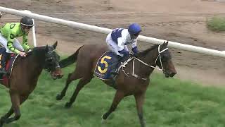 Mudgee 05 10 2024 Race 1 [upl. by Magdau]