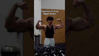 3 Exercises To Grow Bigger Biceps 🦾 [upl. by Marys]