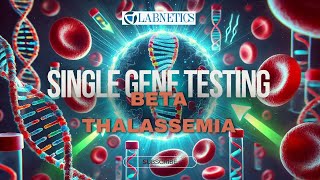 Beta thalassemia  Single Gene Testing  Labnetics  Igenomix [upl. by Ralip]