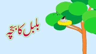 Bulbul ka Bacha Urdu Poem  بلبل کا بچّہ اردو نظم [upl. by Herrle552]