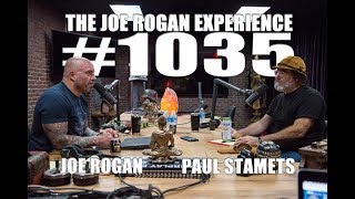 Joe Rogan Experience 1035  Paul Stamets [upl. by Adnorahs911]