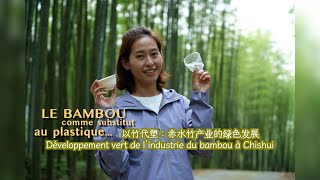 BAMBOU COMME SUBSTITUT AU PLASTIQUE  Développement vert de l’industrie du bambou à Chishui [upl. by Aehr]