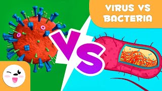 Viruses Vs Bacteria  What are their differences [upl. by Lema]