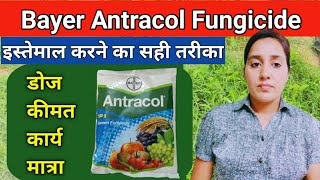 How to use antracol fungicide  Propineb 70wp  Antracol fungicide  bayer antracol fungicide uses [upl. by Chickie]