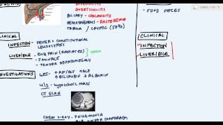 Hepatic Abscess or Liver Abscess Pyogenic Hydatid Amoebic abscess [upl. by Alliuqa]