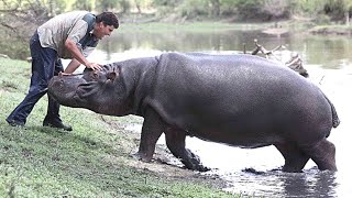 The HORRIFYING Last Moments Of Marius Els MAULED By A Hippo [upl. by Rafe]