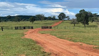 Fazenda a venda em Mato grosso Fazenda a venda MT [upl. by Ahsats959]