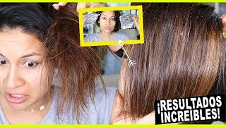 TRATAMIENTO CASERO PARA EL CABELLO SECO Y MALTRATADO 7 I COLAB TANIA ARREDONDO [upl. by Arutak]