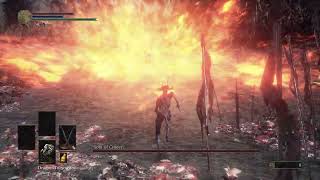 Dark Souls III  Soul of Cinder  No Hit [upl. by Mita]