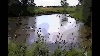 My SV Swimming in the swamp of a large crater and filling my new Stretton olive PVC boots [upl. by Akinehs]