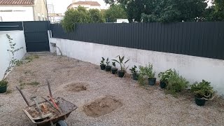 Ornamental Plants amp Shrubs Garden Excavation 3 [upl. by Stearne576]