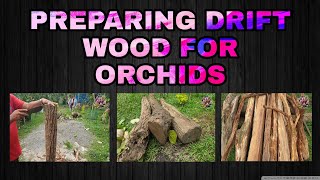 HOW TO PREPARE A DRIFTWOOD FOR ORCHIDSV32 [upl. by Evatsug858]