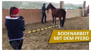 Bodenarbeit mit Pferden 🐴 Übungen mit Jenny von Blindly Follow Horses [upl. by Gussi]