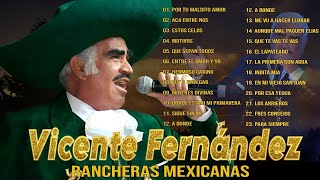 PURAS PARA PISTEAR SELECCIÓNADAS VICENTE FERNÁNDEZ MIX PERRONAS  VICENTE FERNÁNDEZ EBRIO [upl. by Lokkin]