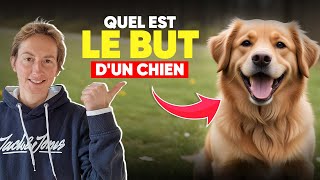 Quel Est Le But DUn Chien [upl. by Hyacinth]