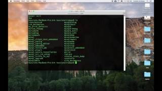 mysql installation on mac os x  reset root password [upl. by Vladamir]