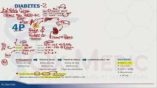 ENDOCRINOLOGÍA  DIABETES [upl. by Tirrej987]