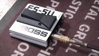 BOSS FS5U FS5L FS6 Foot Switch  By GearTestUa [upl. by Aihtnyc]