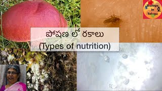 Types of nutrition in Telugu for class 10 పోషణ రకాలు [upl. by Ayikur883]