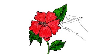 How to Draw a Hibiscus 🌺 Flower Easy Drawing  Step by Step Tutorial  Art Video [upl. by Burrows]