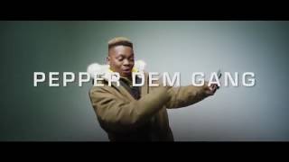 Olamide ft Davolee  Pepper Dem Gang  official video [upl. by Sualokcin]