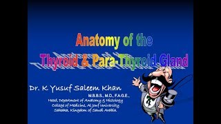 Anatomy of THYROID amp PARATHYROID GLANDS  Dr Yusuf [upl. by Otho]