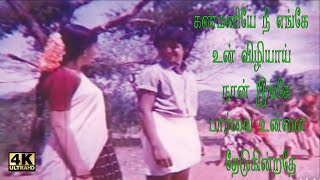 Kanmaniye Nee Enge Mega Hit Song Annakili Sonna Kathai Movie [upl. by Nylia959]