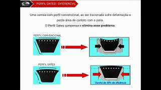 TREINAMENTO CORREIAS INDUSTRIAIS EM V  PARTE 1 [upl. by Alamaj]