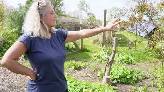 Bits and Bobs and Fresh Spaces in The Food Forest Nordic Permaculture [upl. by Nyrraf]