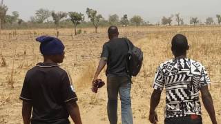 Farming Nigeria Arable Land for Maize Soyabean and Beans planting in Kaduna State [upl. by Iddo]