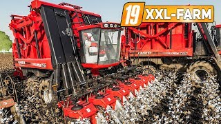 LS19 XXL Farm 3 Die große BAUMWOLLERNTE  LANDWIRTSCHAFTS SIMULATOR 2019 [upl. by Edas]